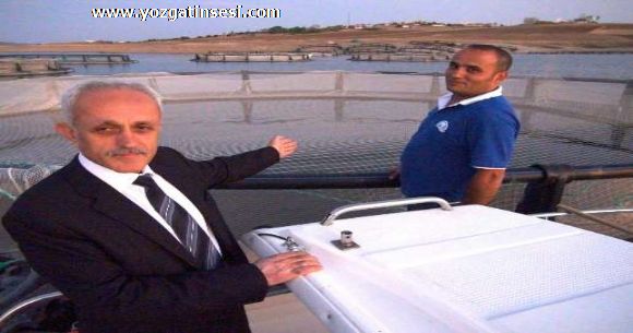 Geling�ll� Alabal�k �retme Tesisleri...