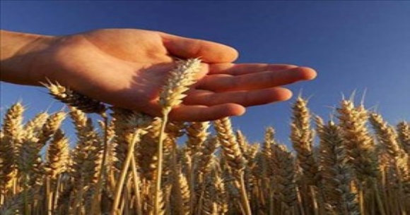 ��i�leri: Bulunan Ceset Kay�p �ehidin De�il