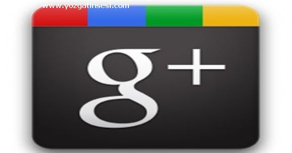 Google Kendi Kendini Yerdi 