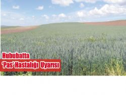 Hububatta Pas Hastal��� Uyar�s�