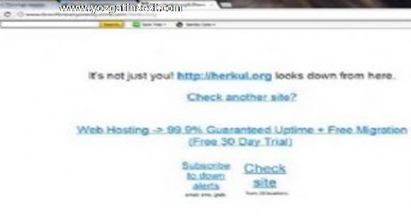G�len Cemaatine Redhack'ten ikinci sald�r�!