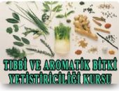 Yozgat Halk E�itim Merkezi T�bbi Aromatik Bitki Yeti�tiricili�i...