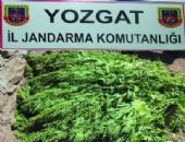 Yozgat �l Jandarma Komutanl��� operasyonda ...