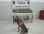 Yozgat Yerk�y de 38 kilo esrar yakaland�