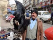 Y�lba�� Hindileri Yozgat ta Sat��ta!