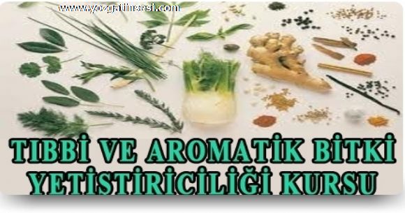 Yozgat Halk E�itim Merkezi T�bbi Aromatik Bitki Yeti�tiricili�i...