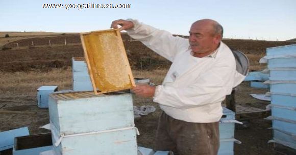 Yozgat taki Kurakl�k Ar�c�l��� etkiledi...