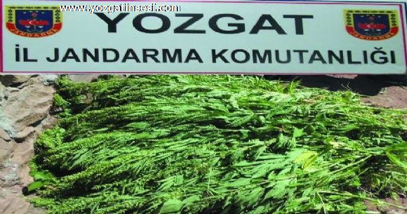 Yozgat �l Jandarma Komutanl��� operasyonda ...