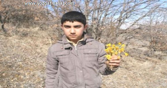 Yozgat'ta Bahar�n M�jdecisi �i�demler �i�ek A�t�...