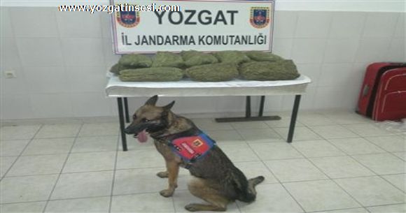 Yozgat Yerk�y de 38 kilo esrar yakaland�