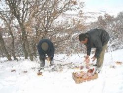Yozgat ta Do�aya yem b�rak�ld�