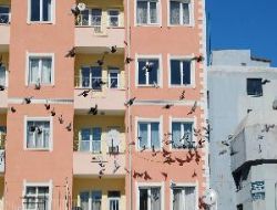 Yozgatta Ku�lar�n ekmek m�cadelesi