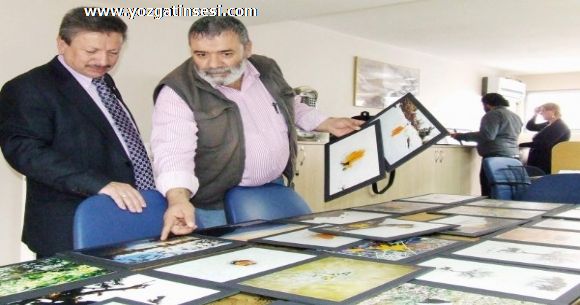 Yozgatl� Gazeteci Seyfi �elikkaya Foto�raf Sergisi A�acak...