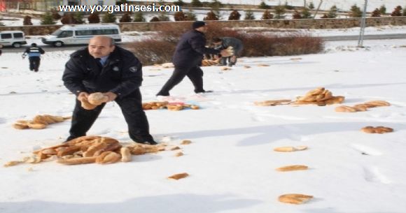Yozgat ta Do�ada A� Kalan Hayvanlara Yiyecek...